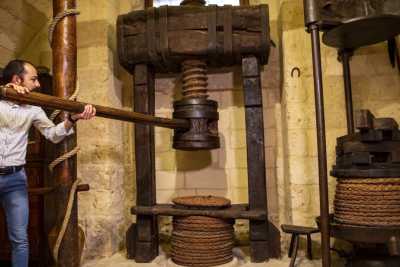 Altamura e il suo Museo del vino, nato all'interno della cinquecentesca "Cantina Frrud"